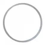 Уплотнительное кольцо для фильтров ИТА-STEEL10"(F9042) 