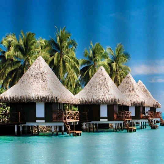 Занавеска для ванной 1800х2000 Райский остров (02-14)