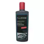 Чистящее средство ALVEUS ALLSHINE 250мл