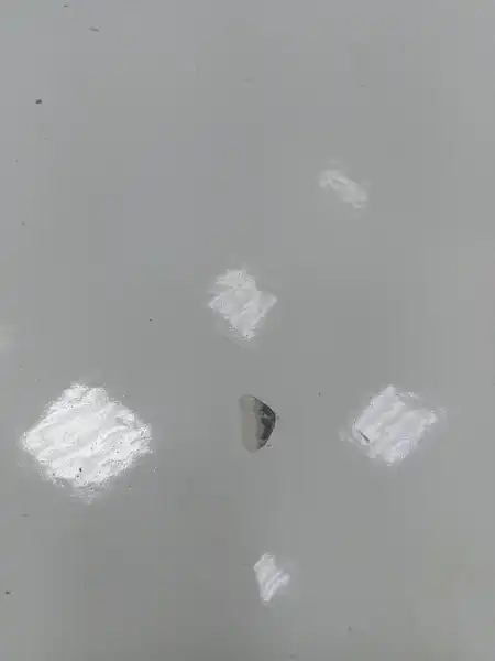 Ванна 1500х700 стальная эмалированная Antika (Екатеринбург) , о/г