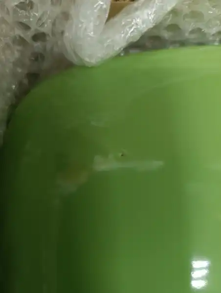 Бачок Суперкомпакт светло-зеленый, ниж. под., под кн. (Ст.ОСКОЛ) , о/г