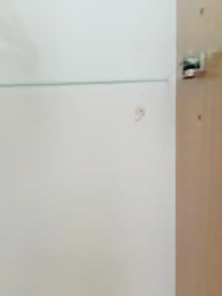 Пенал 300мм Silvia универс. , о/г